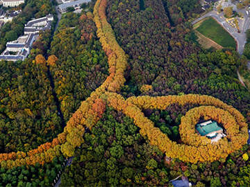 تعزيزات التثبيت: قصر ميلينغ في نانجينغ